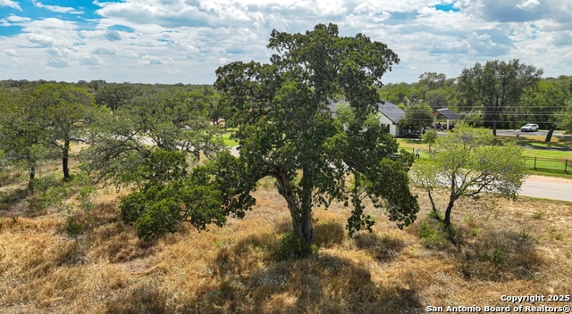 Image 3 of 12 For 205 Trophy Lane