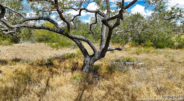 Image 8 of 12 For 205 Trophy Lane