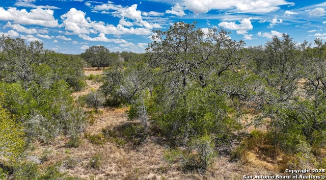 Image 9 of 12 For 205 Trophy Lane