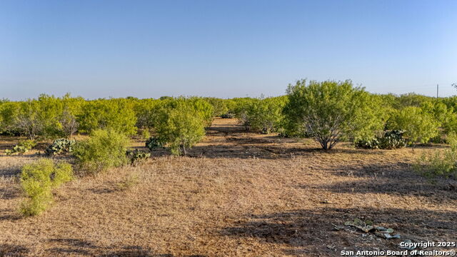 Details for 2 Cr 331 E , Jourdanton, TX 78026