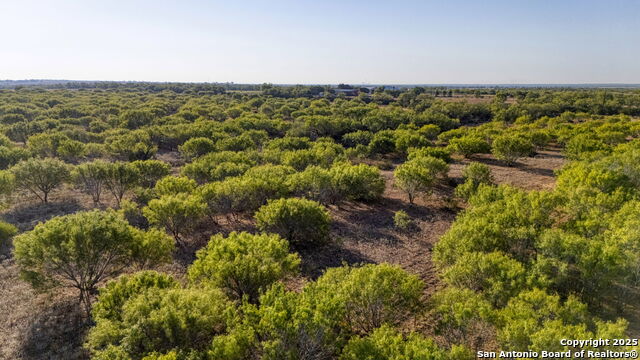 Image 8 of 12 For 2 Cr 331 E