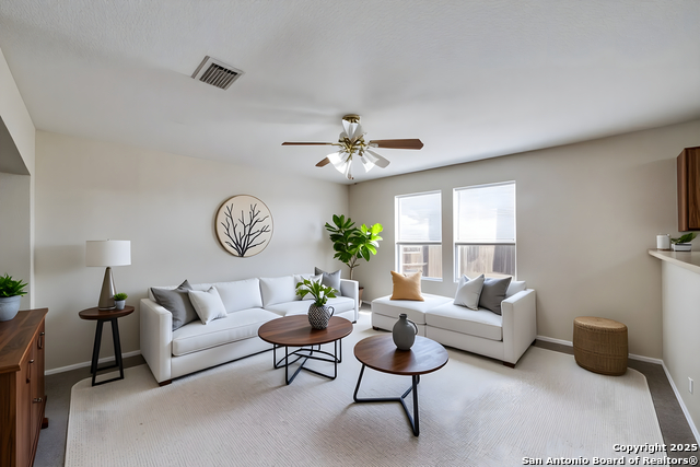 Image 4 of 24 For 2714 Gato Del Sol