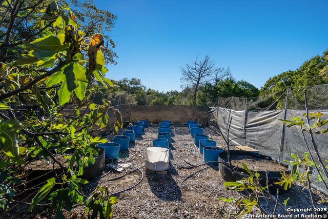 Image 33 of 37 For 103 Mallard  