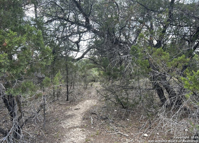 Image 7 of 9 For Lot 279 Scenic