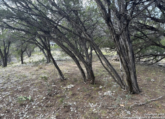 Image 9 of 9 For Lot 279 Scenic