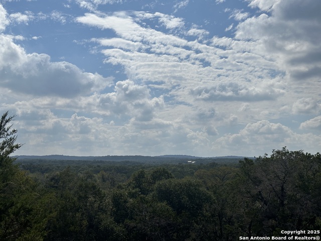 Details for 959 Serene Park, Spring Branch, TX 78070