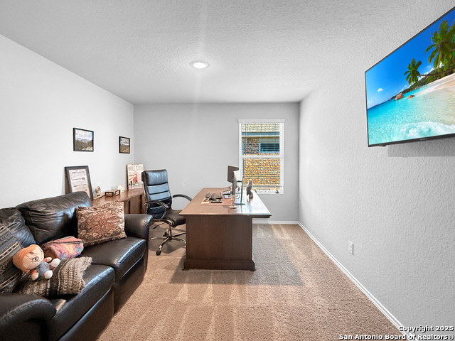 Image 13 of 22 For 14911 Cardigan Wheel