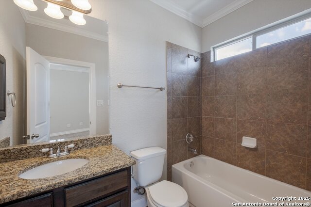 Image 20 of 28 For 11338 Begonia Rock