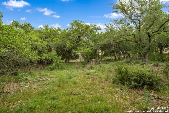 Image 10 of 16 For 25139 Callaway