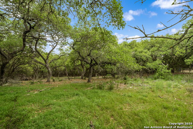 Image 11 of 16 For 25139 Callaway