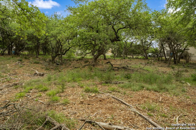 Image 4 of 16 For 25139 Callaway