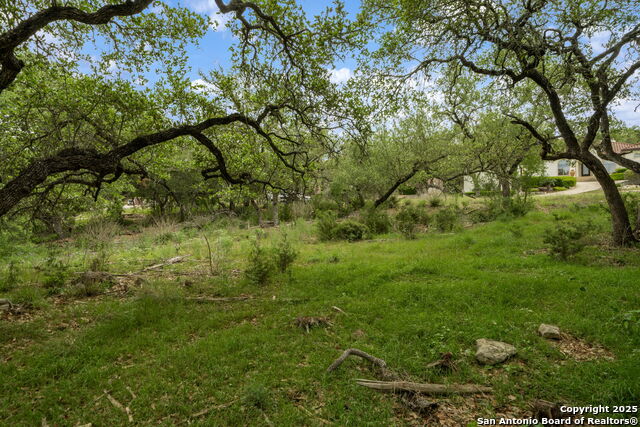 Image 8 of 16 For 25139 Callaway