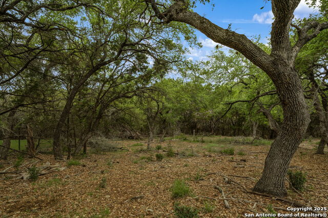 Image 9 of 16 For 25139 Callaway