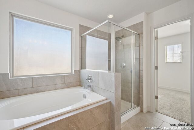 Image 14 of 27 For 4485 Winged Elm