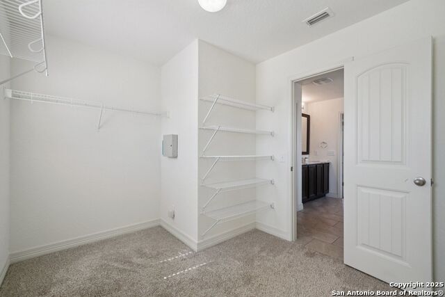 Image 15 of 27 For 4485 Winged Elm