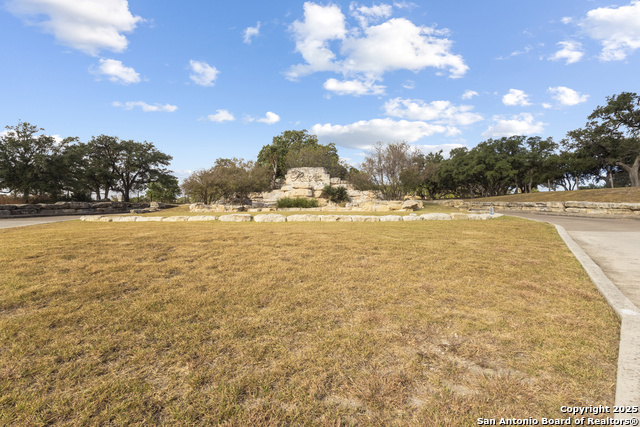 Image 10 of 15 For Lot 40 Painted Sky