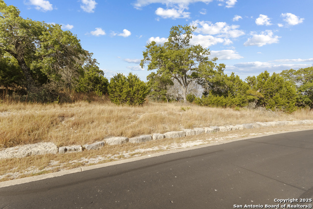 Image 11 of 15 For Lot 40 Painted Sky