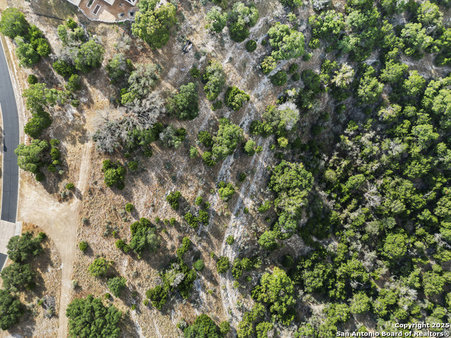 Image 15 of 15 For Lot 40 Painted Sky