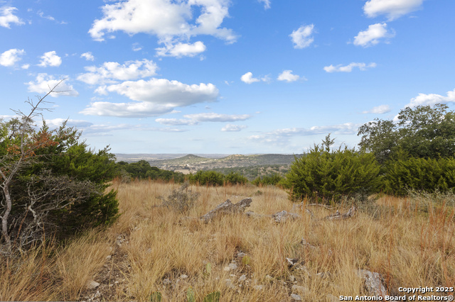 Image 3 of 15 For Lot 40 Painted Sky