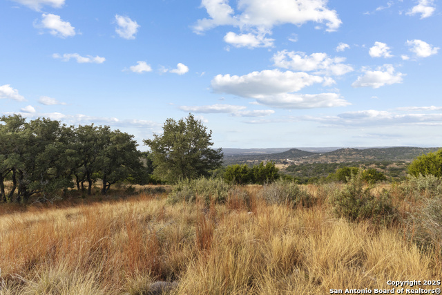 Image 4 of 15 For Lot 40 Painted Sky