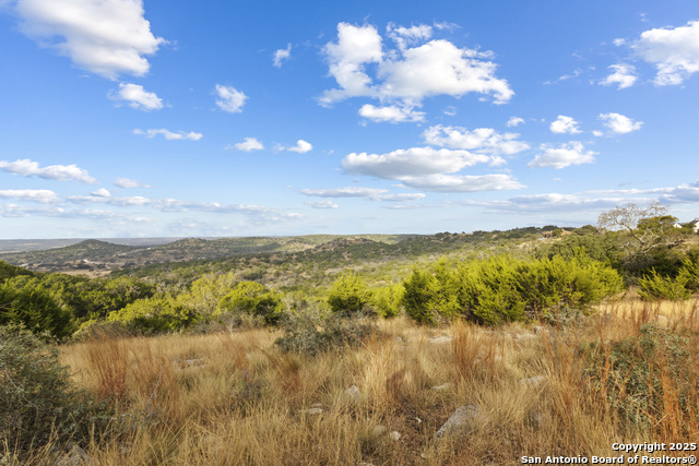 Image 5 of 15 For Lot 40 Painted Sky