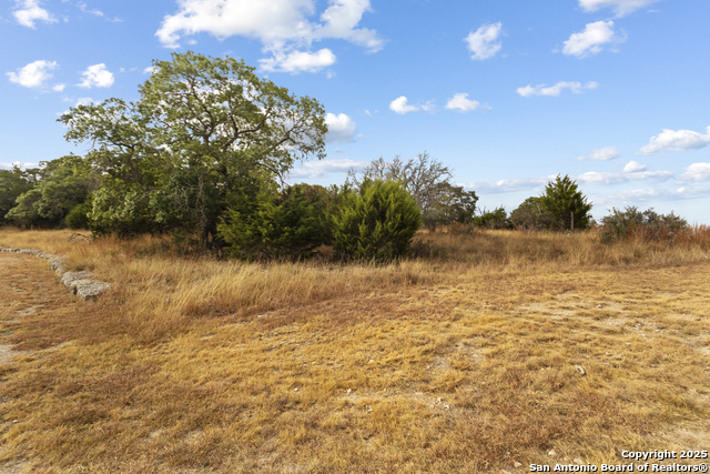 Image 6 of 15 For Lot 40 Painted Sky