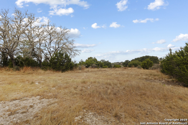 Image 7 of 15 For Lot 40 Painted Sky