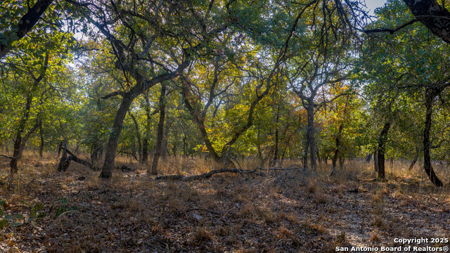 Image 3 of 21 For Lot 17 & 18 Sandstone Lane