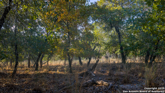 Image 6 of 21 For Lot 17 & 18 Sandstone Lane