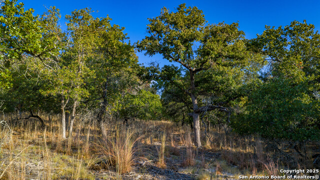 Image 7 of 21 For Lot 17 & 18 Sandstone Lane