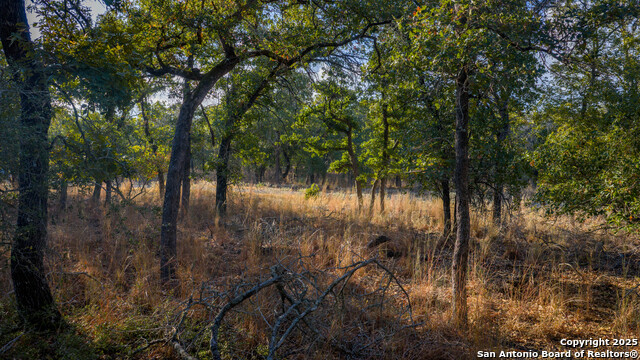 Image 8 of 21 For Lot 17 & 18 Sandstone Lane