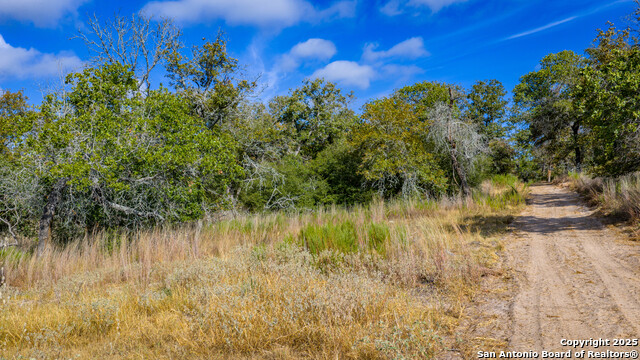 Image 11 of 21 For Lot 14 Sandstone Lane