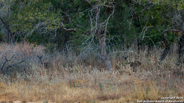 Image 2 of 21 For Lot 14 Sandstone Lane