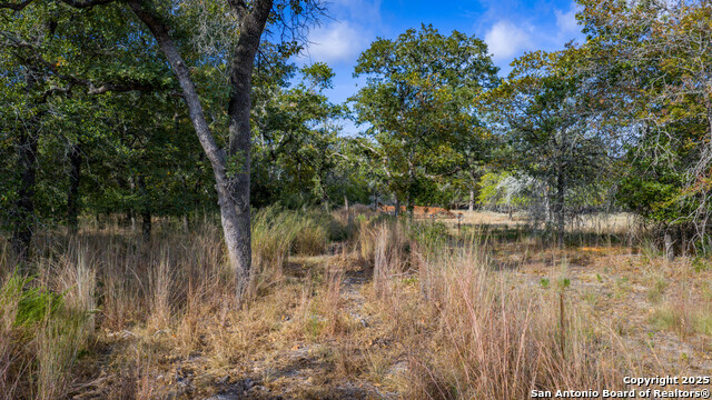 Image 7 of 21 For Lot 14 Sandstone Lane