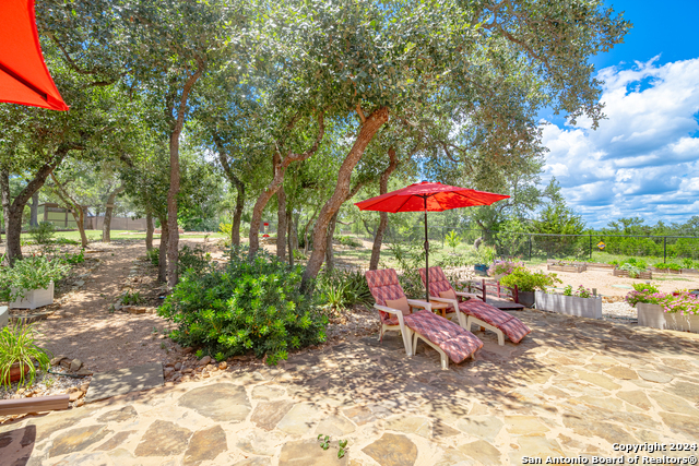 Image 28 of 41 For 924 Rhinestone