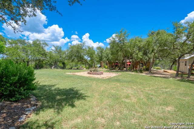 Image 39 of 41 For 924 Rhinestone