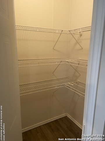 Image 17 of 17 For 1218 Songbird