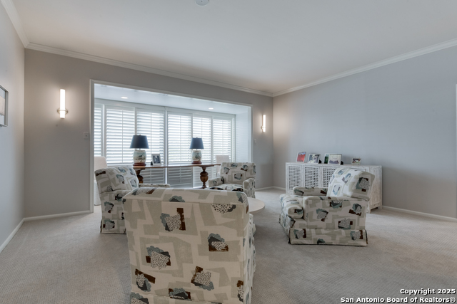 Listing photo id 9 for 4001 New Braunfels N 306