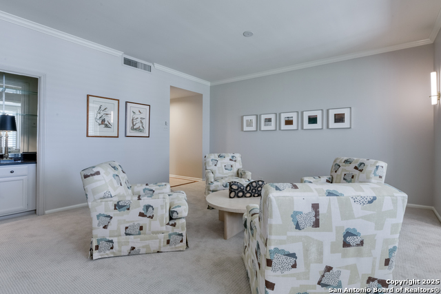 Listing photo id 11 for 4001 New Braunfels N 306