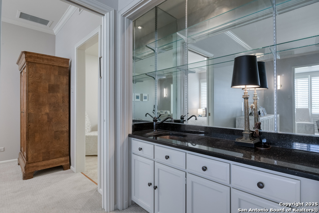 Listing photo id 12 for 4001 New Braunfels N 306