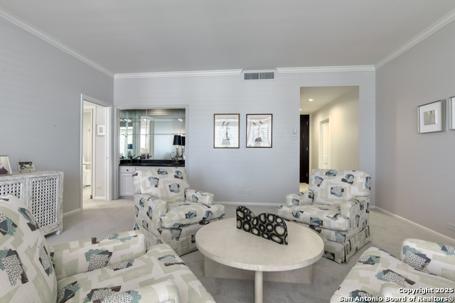 Listing photo id 6 for 4001 New Braunfels N 306