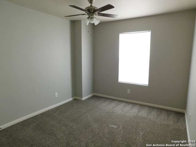 Image 14 of 24 For 8810 Appaloosa