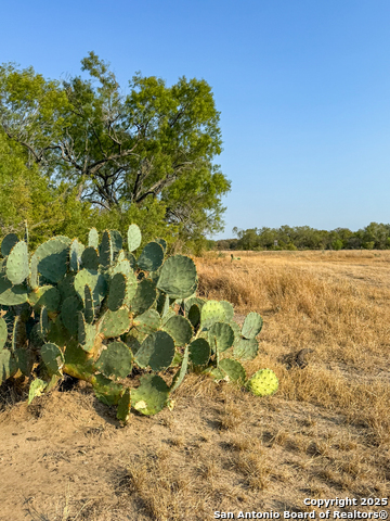 Image 6 of 15 For 6870 County Road 329 (tract 2-5)