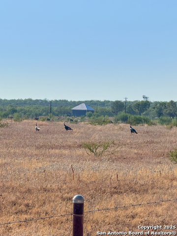 Image 9 of 15 For 6870 County Road 329 (tract 2-5)