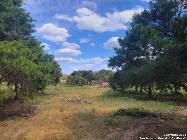 Listing photo id 28 for 210 Bronco