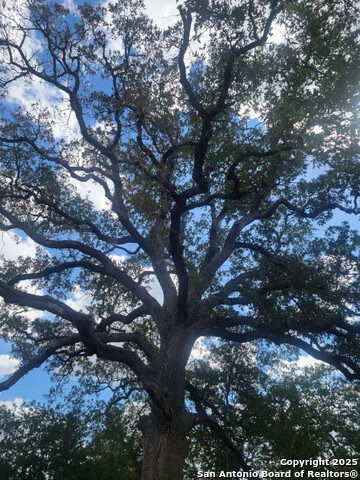 Listing photo id 29 for 210 Bronco