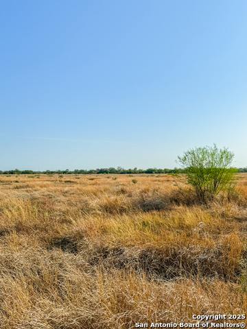 Image 13 of 15 For 6870 County Road 329 (tract 1)