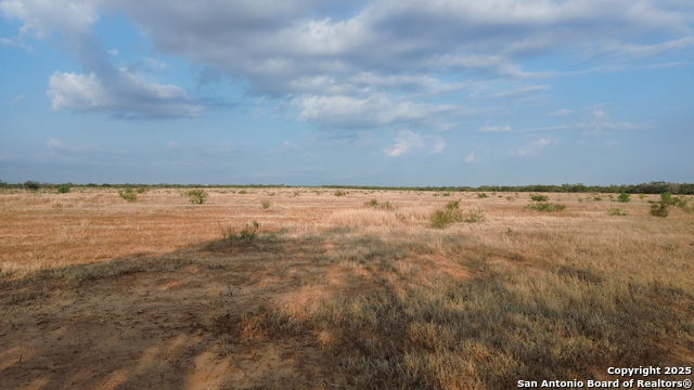 Image 15 of 15 For 6870 County Road 329 (tract 1)