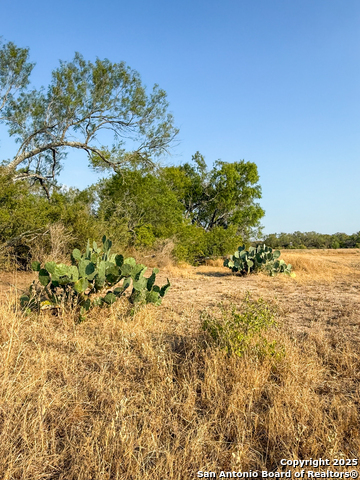 Image 4 of 15 For 6870 County Road 329 (tract 1)