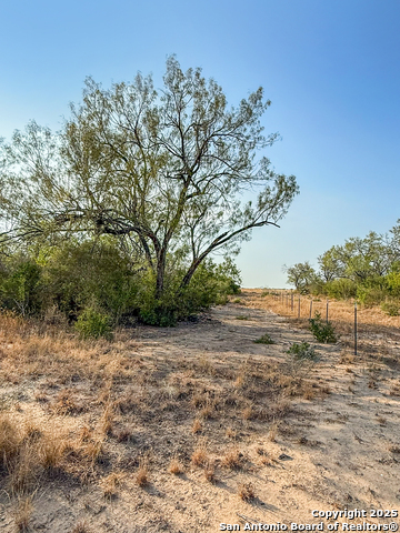 Image 6 of 15 For 6870 County Road 329 (tract 1)